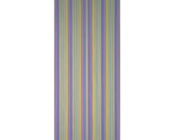 CONACORD Deurgordijn Pvc Strepen Brillant Meerkleurig 90x200 Cm