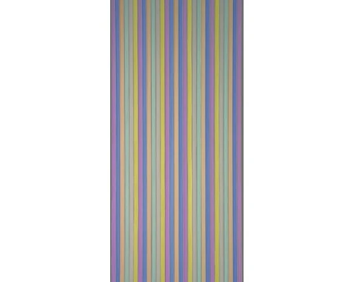 CONACORD Deurgordijn Pvc Strepen Brillant Meerkleurig 90x200 Cm 1 CONACORD Deurgordijn Pvc Strepen Brillant Meerkleurig 90x200 Cm