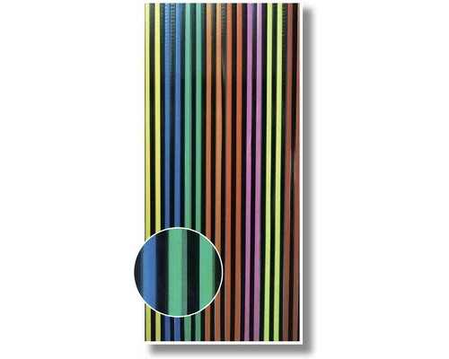 CONACORD Deurgordijn Pvc Strepen Meerkleurig 90x200 Cm 3 CONACORD Deurgordijn Pvc Strepen Meerkleurig 90x200 Cm - Afbeelding 3