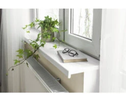 Vensterbank Kunststof 40x250mm Wit 300 Cm -Binnenafbouw DV 8 10549036 02 4c NL 20220429141651