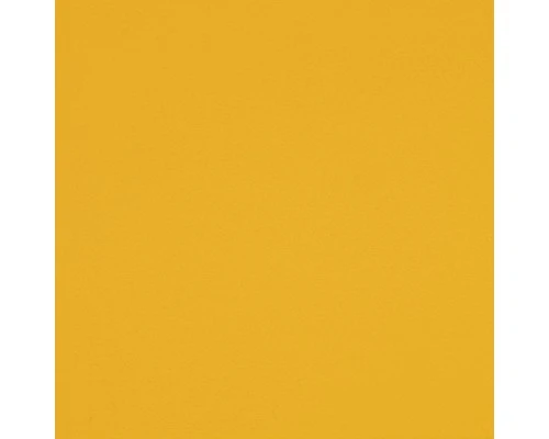 GUTTAGLISS® Hobbycolor Kunststof Plaat, Geel, 1250 X 500 X 3,0 Mm 1 GUTTAGLISS® Hobbycolor Kunststof Plaat, Geel, 1250 X 500 X 3,0 Mm