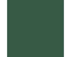 PRECIT Schroeven 4,8 X 35 Mm RAL 6005 Mosgroen Pak 50 Stuks -Binnenafbouw DV 8 5764091 01 4c DE 20210112101654